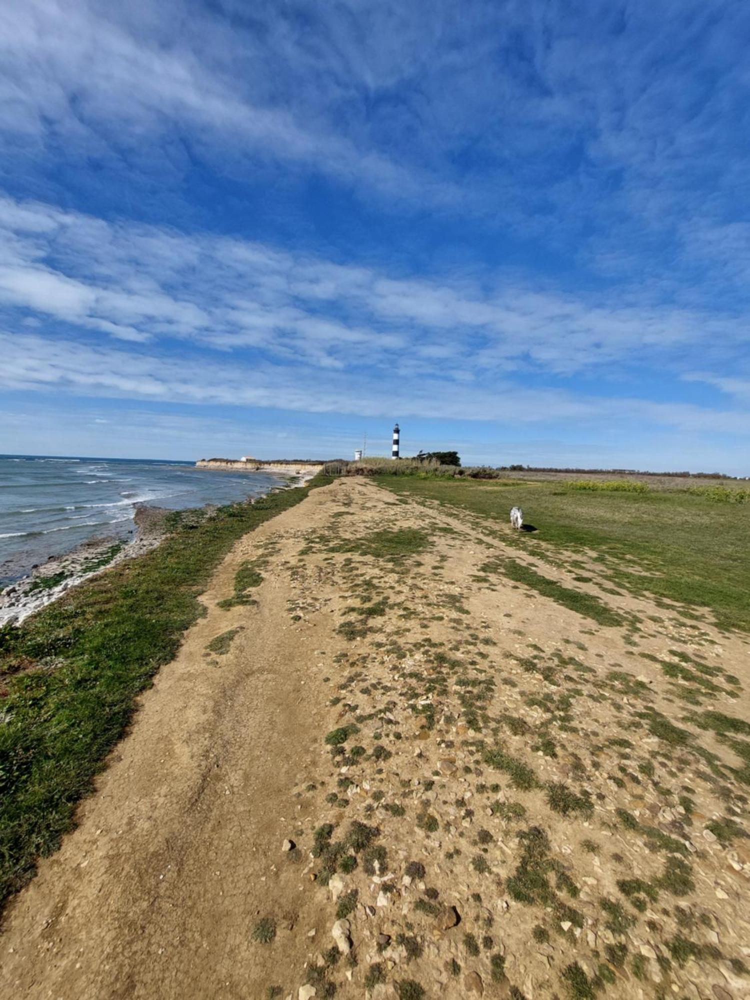 Maison 400m Océan avec jardin clos et ombragé Saint-Georges-d'Oleron Exterior foto